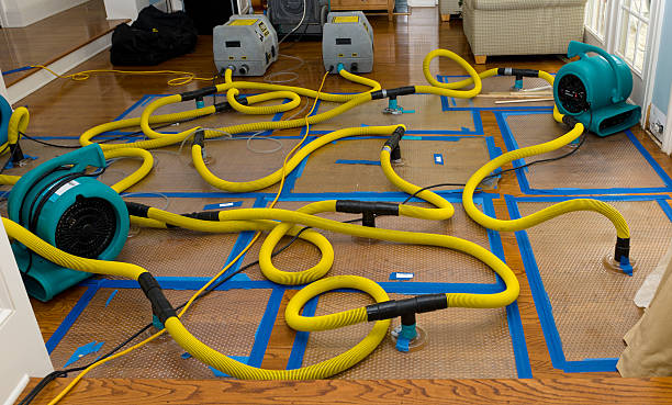 Professional Basement Flood Cleanup technician working in Shelbyville, IN